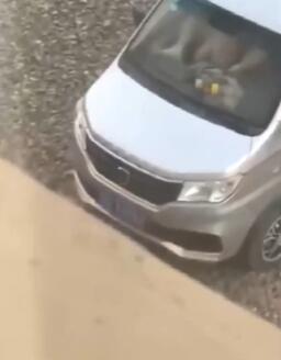 光天化日搞车震以为人家看不到